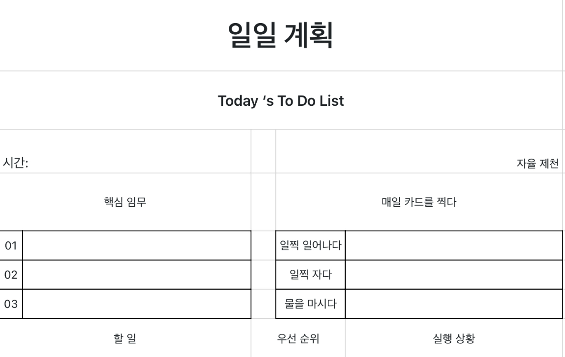 일일 계획